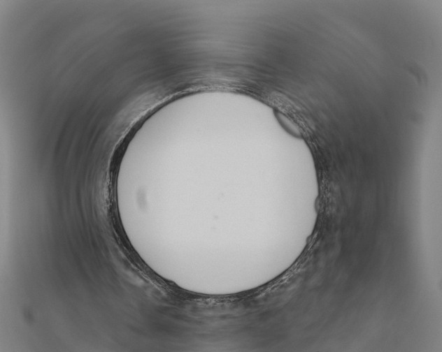 X0000111590338200908131345