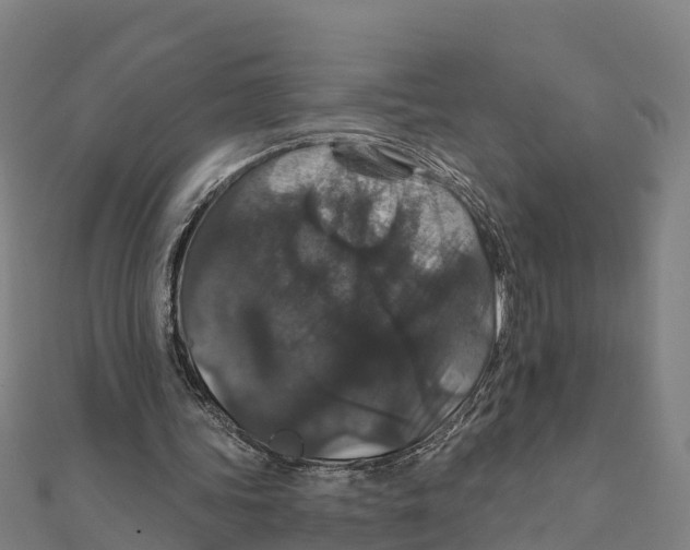 X0000111590339200908131345