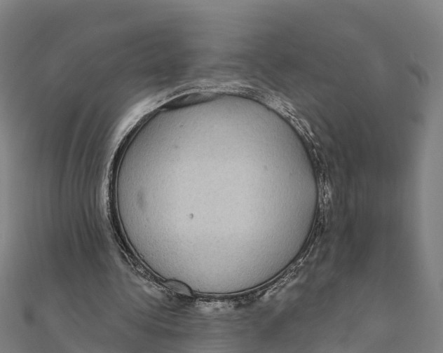 X0000111590340200908131345