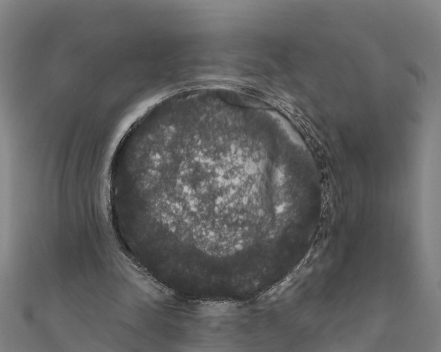 X0000111590342200908131345