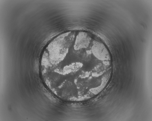 X0000111590345200908131346