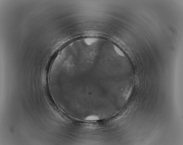 X0000111590347200908131346