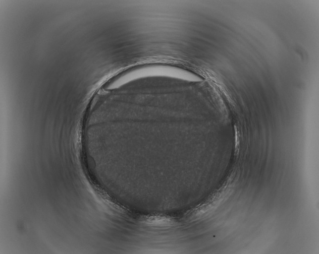 X0000111590348200908131346