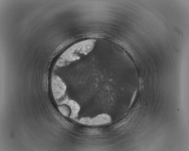 X0000111590349200908131346