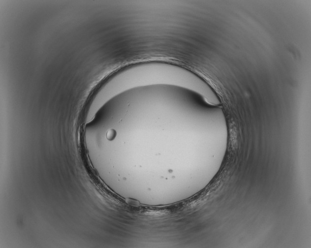 X0000111590350200908131346