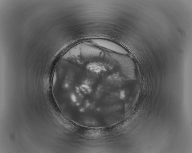 X0000111590351200908131346