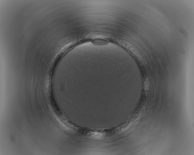 X0000111590352200908131346