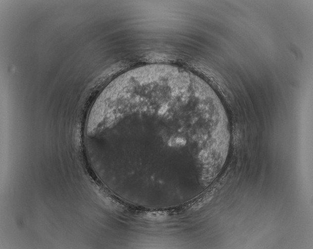 X0000111590353200908131346