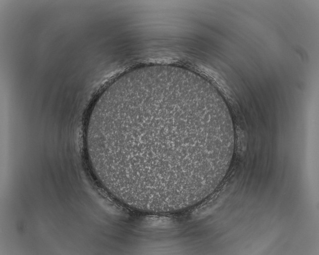 X0000111590354200908131346