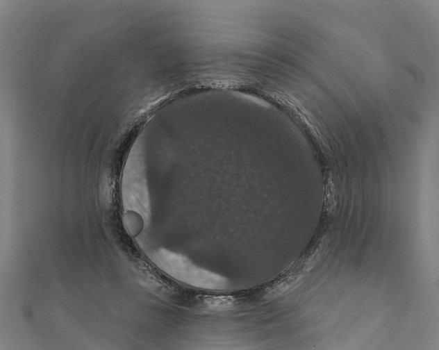 X0000111590355200908131346