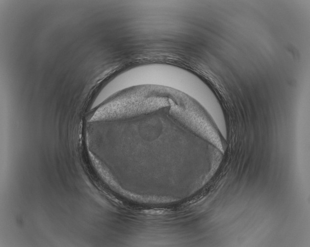 X0000111590356200908131346