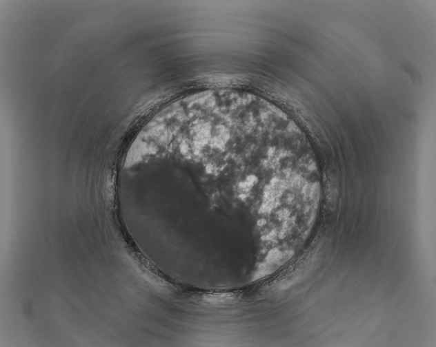 X0000111590357200908131346