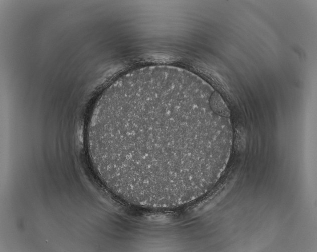 X0000111590358200908131346