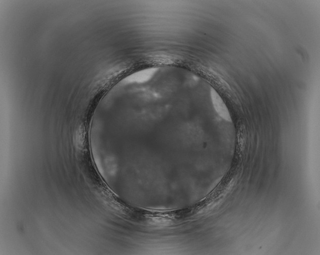 X0000111590359200908131346