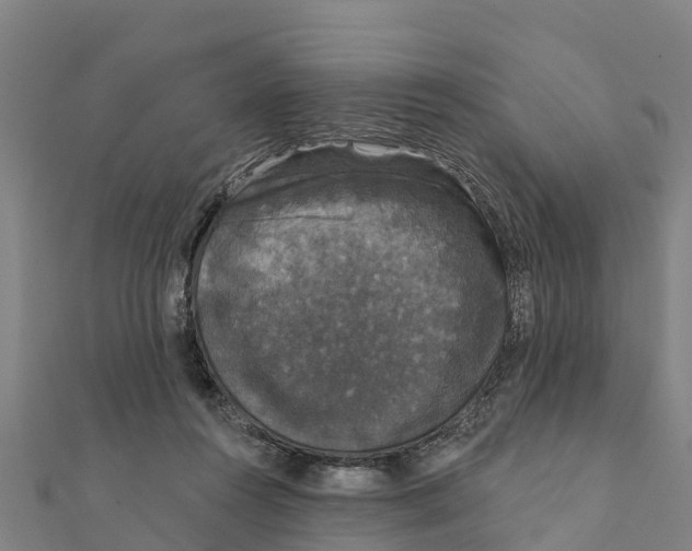 X0000111590360200908131346