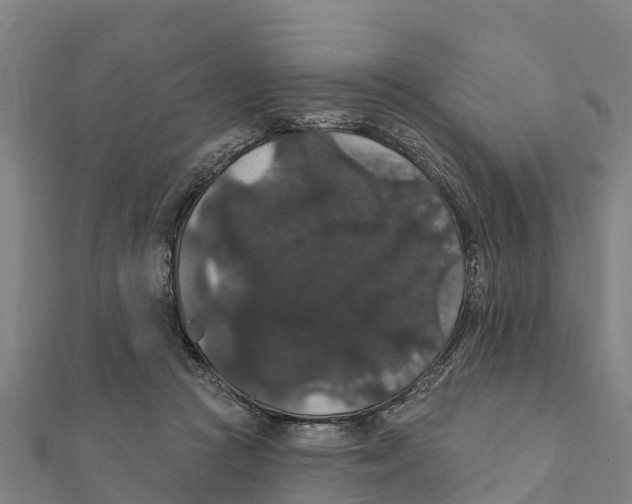 X0000111590361200908131346