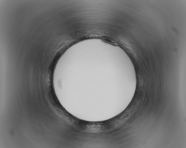 X0000111590362200908131346
