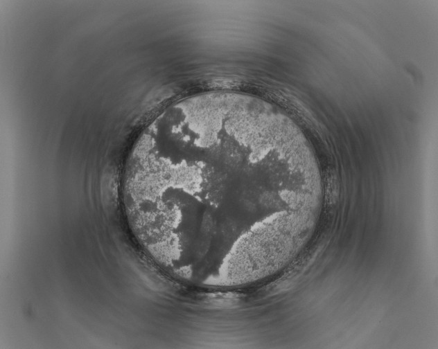 X0000111590363200908131346