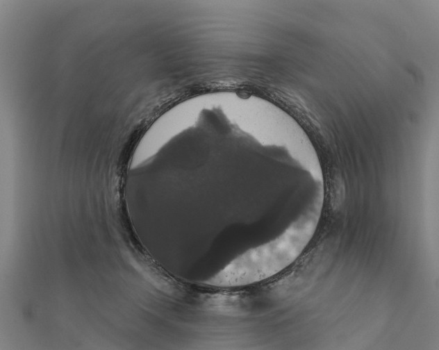 X0000111590366200908131346