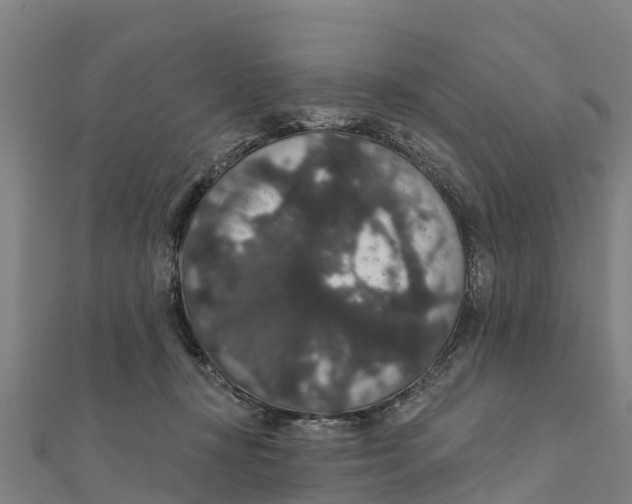 X0000111590367200908131346