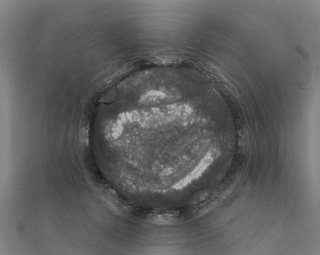 X0000111590368200908131346