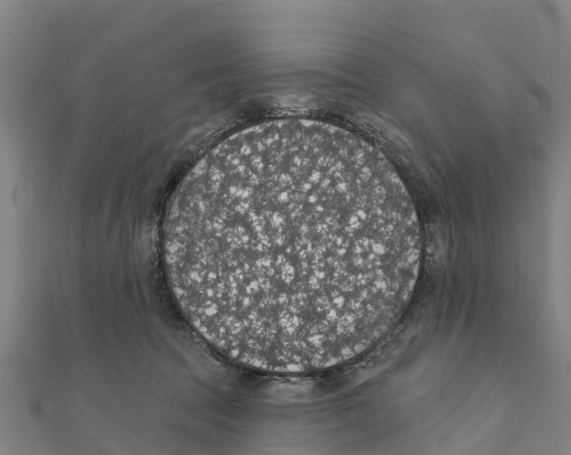 X0000111590369200908131346