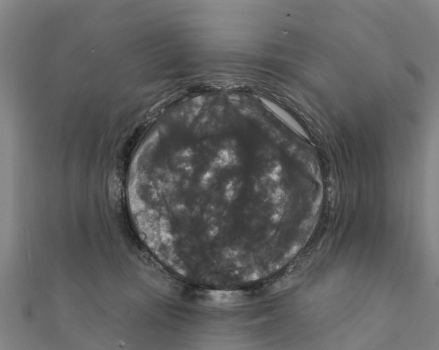 X0000111590371200908131346