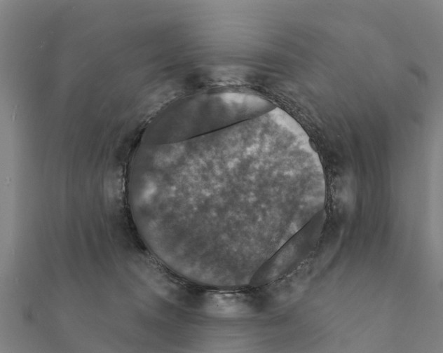X0000111590372200908131346