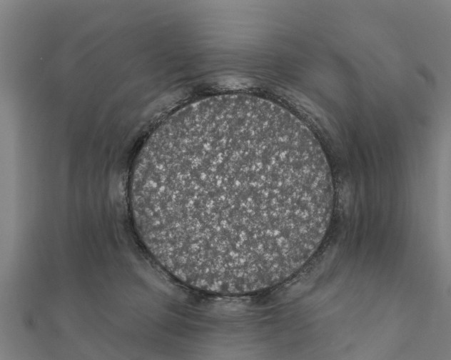 X0000111590373200908131346