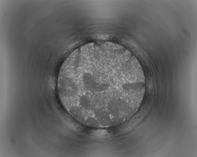 X0000111590374200908131346