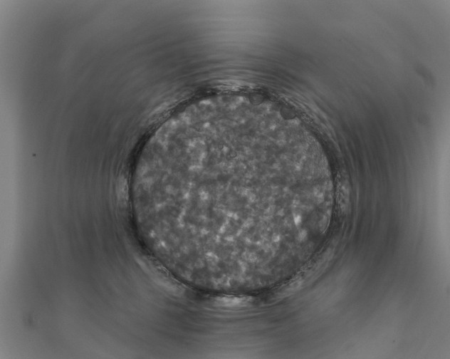X0000111590375200908131346