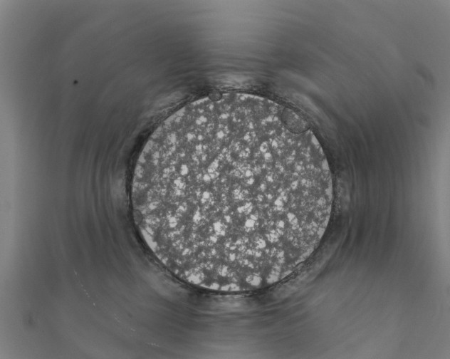 X0000111590377200908131346