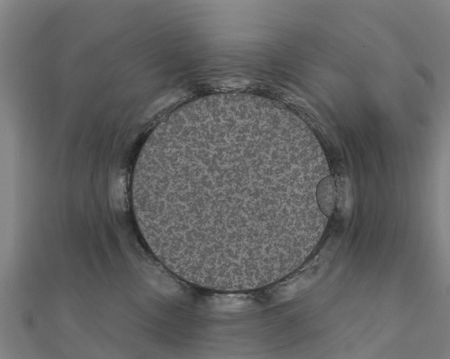 X0000111590378200908131346