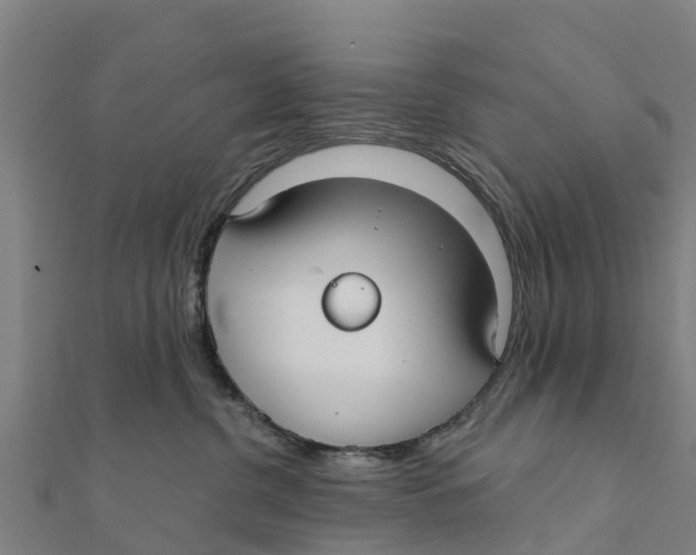 X0000111590380200908131346