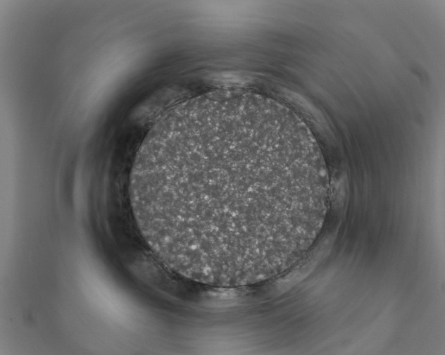 X0000111590381200908131346