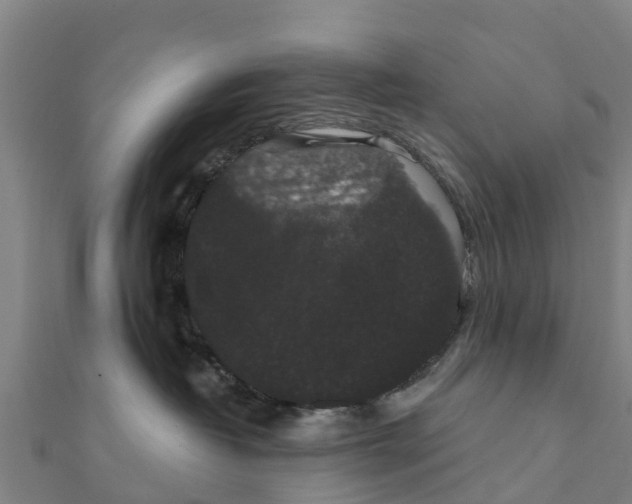 X0000111590382200908131346