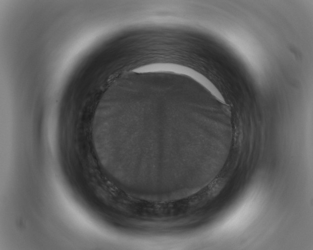 X0000111590383200908131346