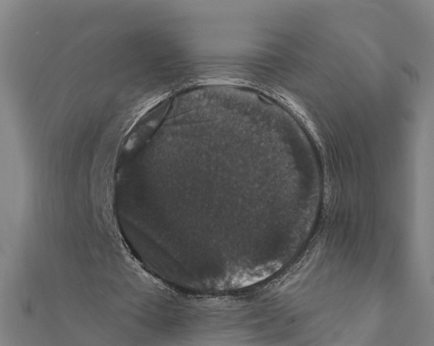 X0000111590385200908131345