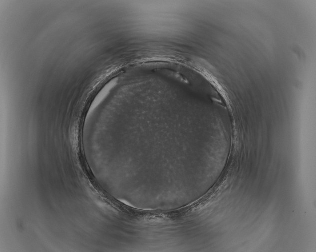 X0000111590386200908131345