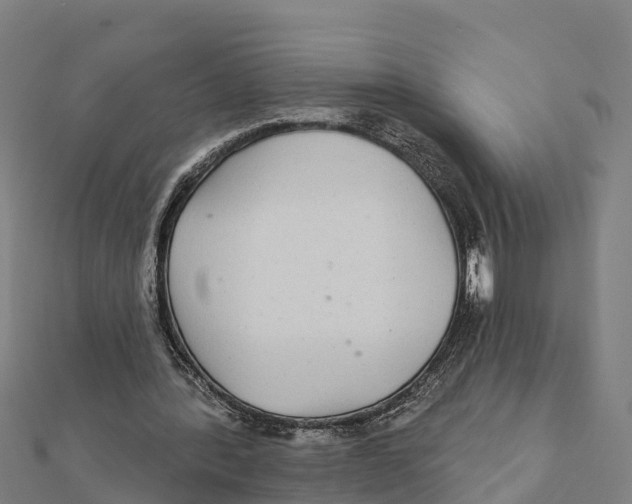 X0000111590388200908131345