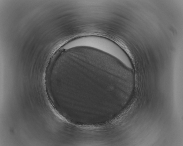 X0000111590389200908131345