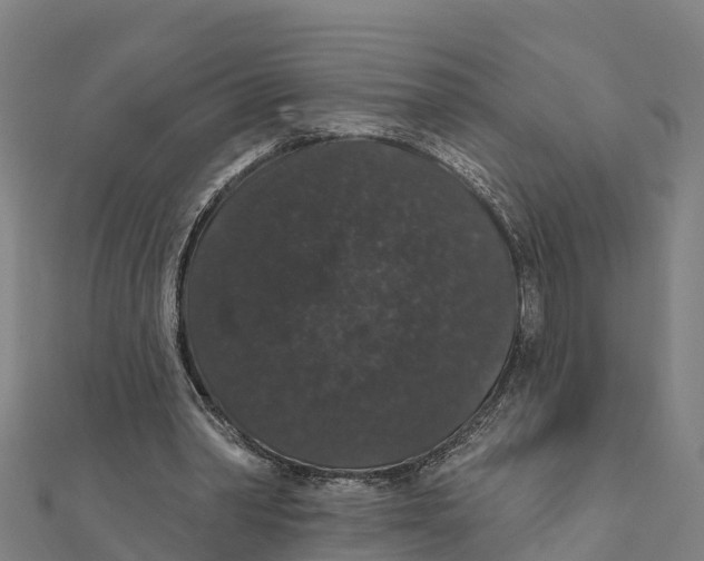 X0000111590390200908131345