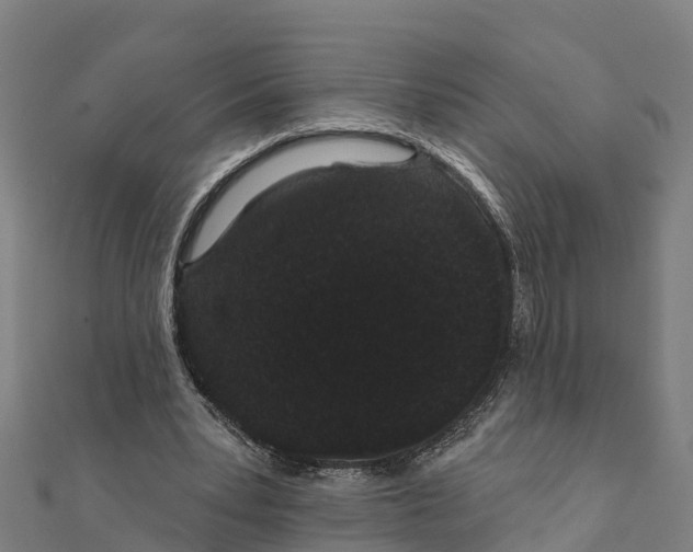 X0000111590391200908131345