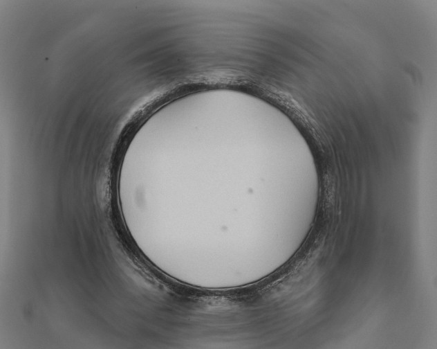 X0000111590392200908131345