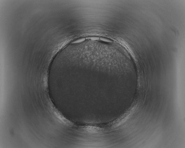 X0000111590393200908131345