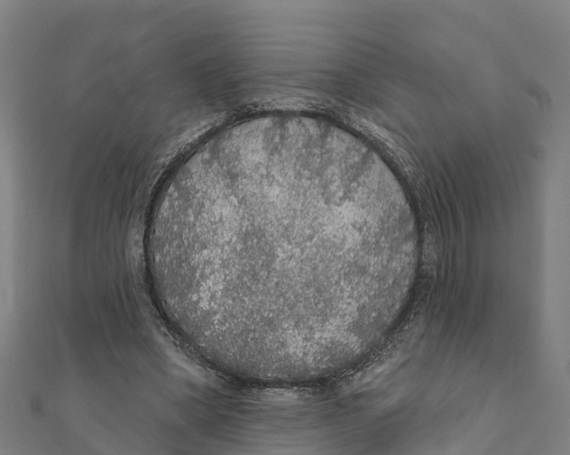 X0000111590394200908131345