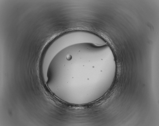X0000111590395200908131345