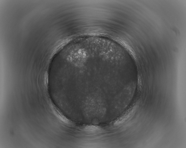X0000111590397200908131345