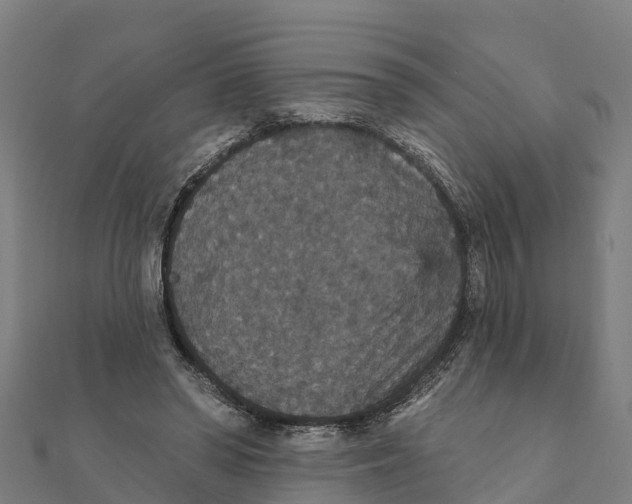 X0000111590398200908131345