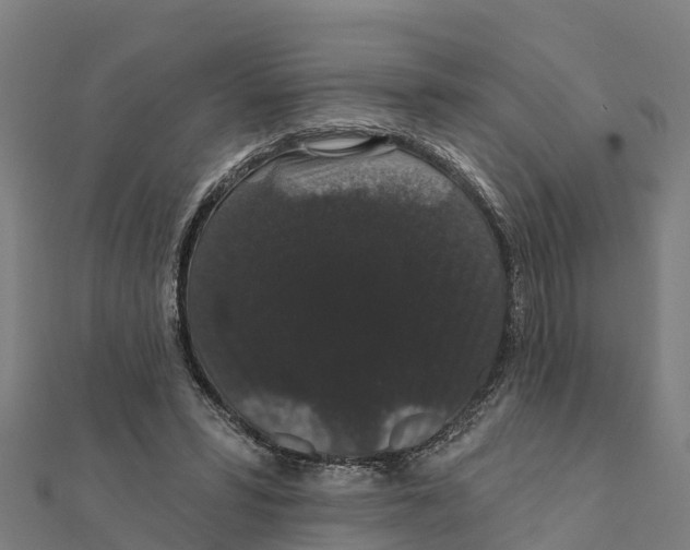 X0000111590399200908131345